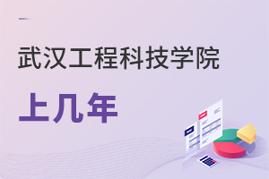 武汉工程科技学院上几年