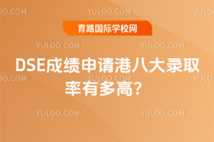 DSE成绩申请港八大录取率有多高？