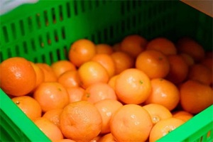 天津法耀高级中学多举措落实食品安全工作，助力学生健康成长